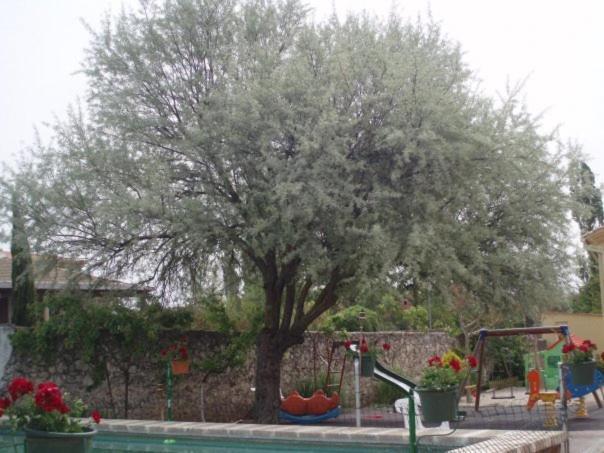 Arcas De Agua Hotel Buitenkant foto